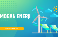 Mogan Enerji Hisse Senedi 2024: Detaylı Bir İnceleme