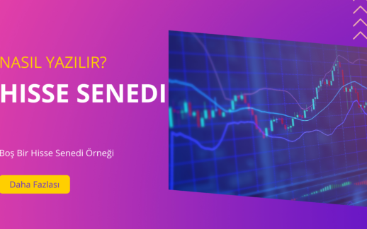 2024 Hisse Senedi Nasıl Yazılır? Boş Bir Şablon