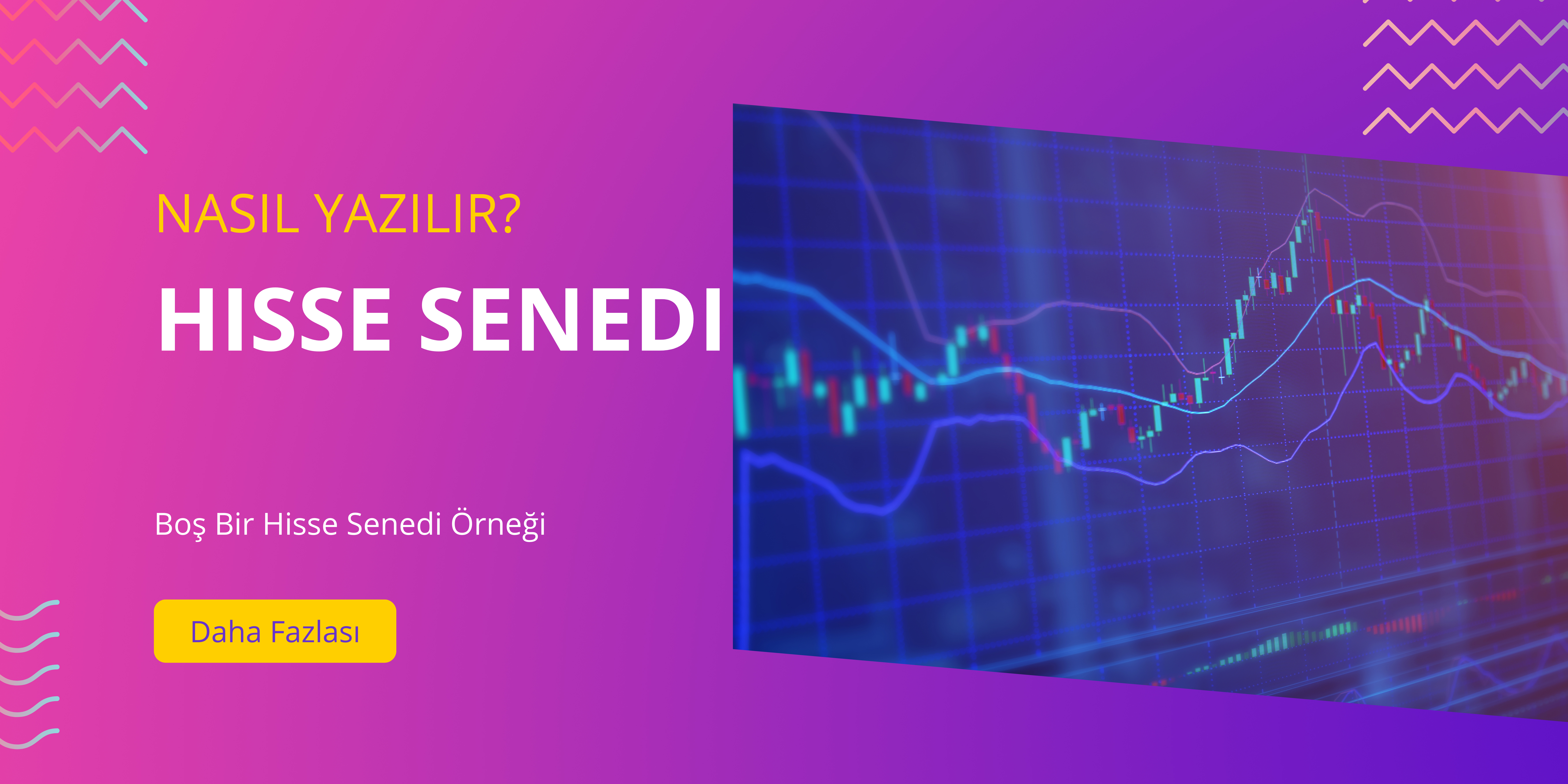 2024 Hisse Senedi Nasıl Yazılır? Boş Bir Şablon